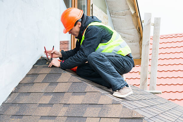 Best Roof Gutter Cleaning  in Wrightstown, WI